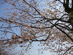 f0056250_23165461.jpg