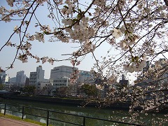f0056250_2317846.jpg