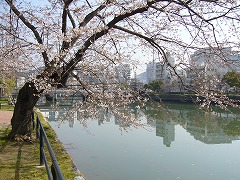 f0056250_23361699.jpg