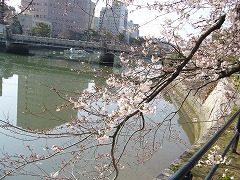 f0056250_2339447.jpg