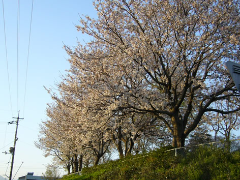 f0067354_19385185.jpg