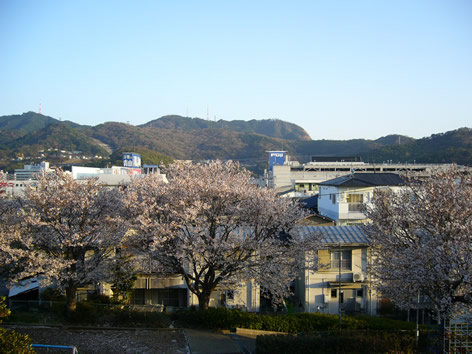 f0067354_19453011.jpg