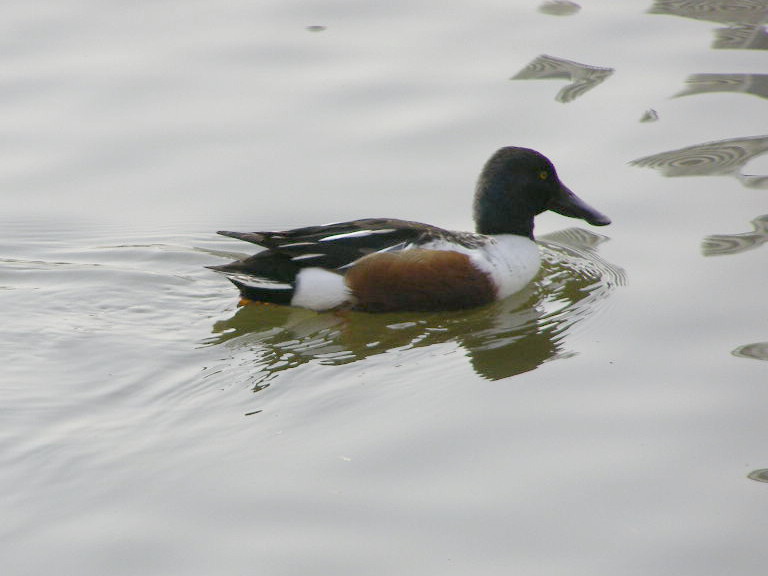 e0064158_0321755.jpg