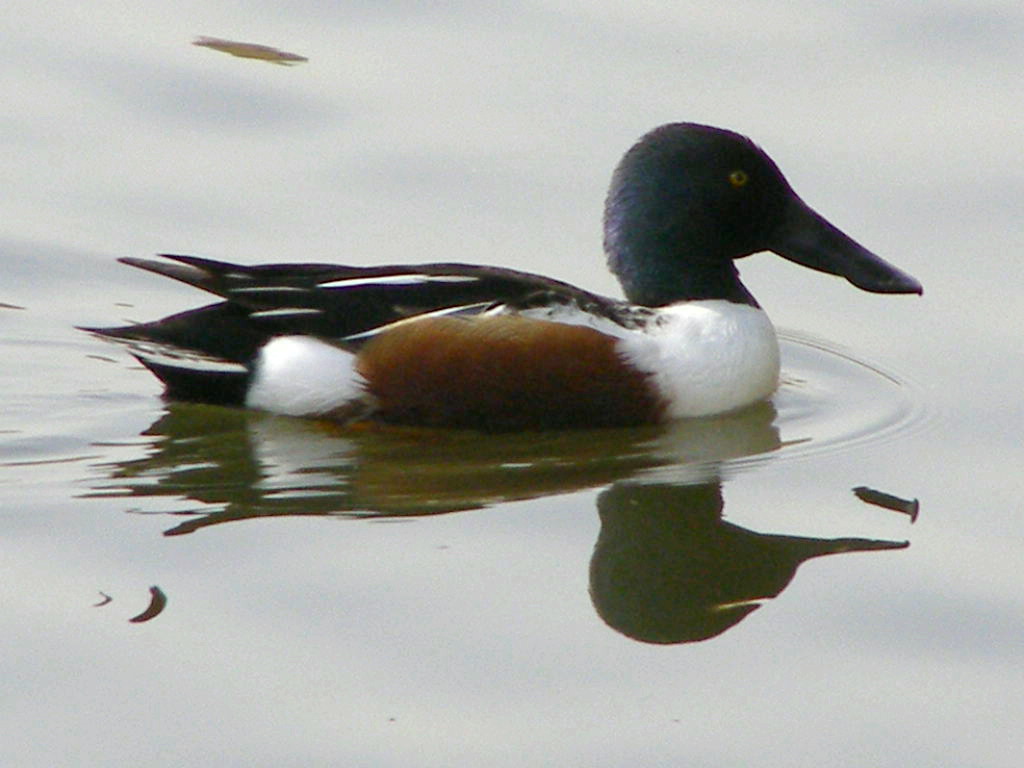 e0064158_0323464.jpg