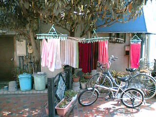 e0083359_157328.jpg