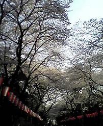 a0047760_1645399.jpg