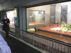 b0036360_22324447.jpg