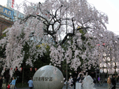 d0065364_2413587.gif