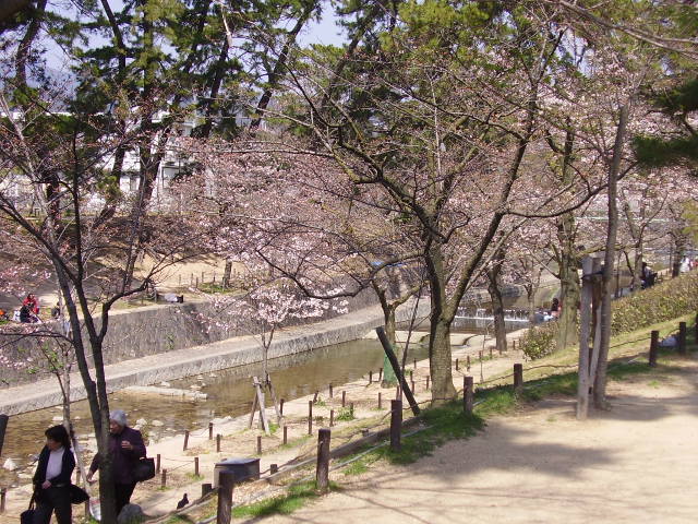 d0001070_20301512.jpg