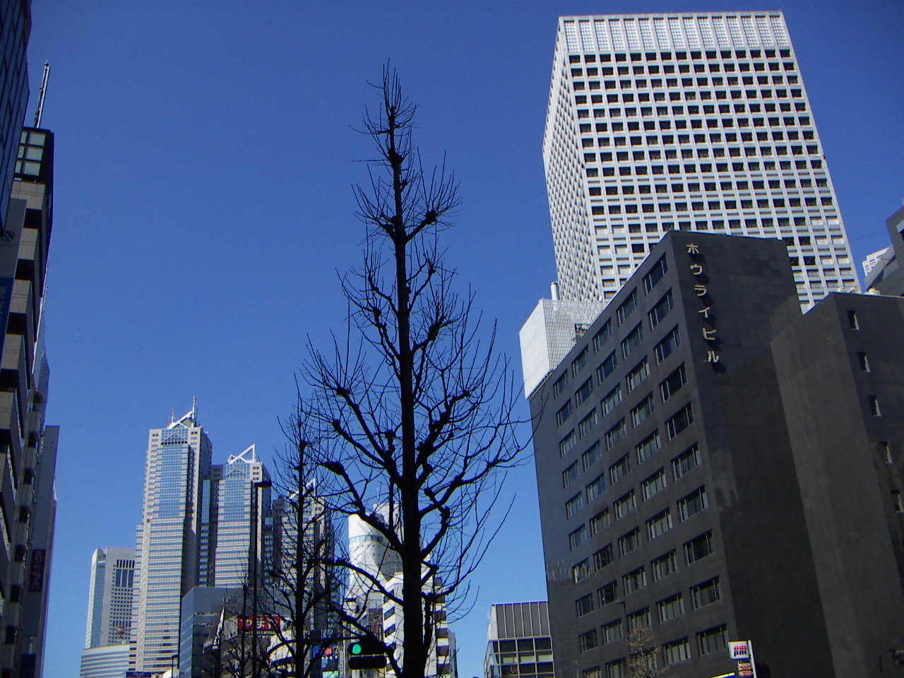a0026371_2150838.jpg