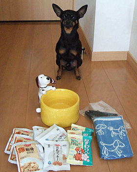 c0012571_14304688.gif