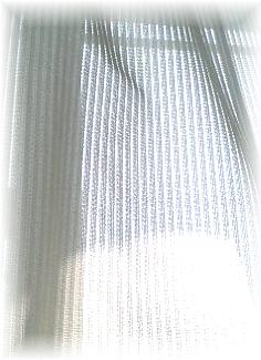 a0020672_14524481.jpg