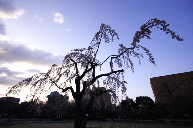 c0030874_714463.jpg