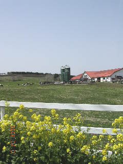 e0062785_1128137.jpg