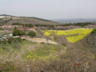 e0062785_11325540.jpg