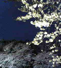 c0036690_027229.jpg