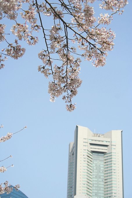 c0025895_23443013.jpg