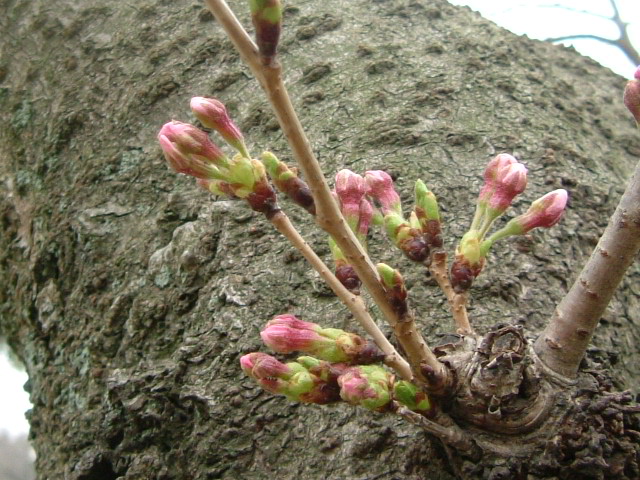 b0044296_22342273.jpg
