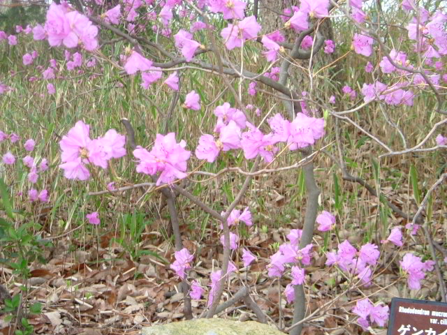 b0044296_2234466.jpg