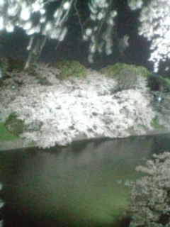 c0072698_22105527.jpg