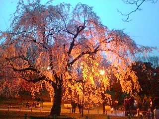 c0072698_2319787.jpg