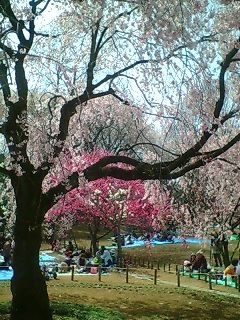 c0072698_2375644.jpg