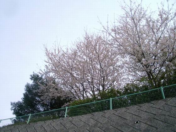 e0025300_2056380.jpg