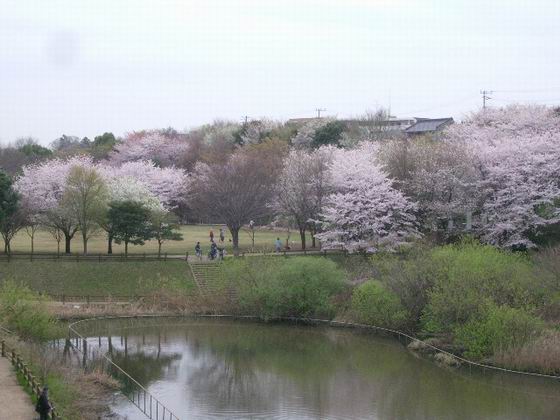 e0025300_20573188.jpg