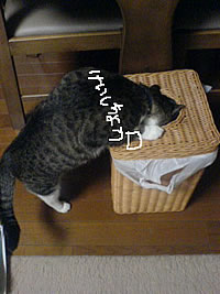 c0035001_163657100.jpg