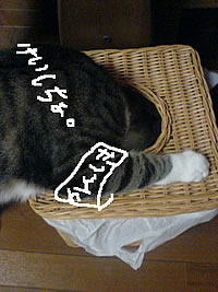 c0035001_16404256.jpg