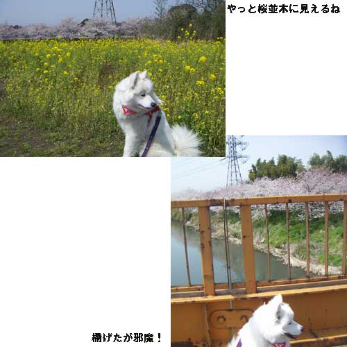 e0018604_137010.jpg