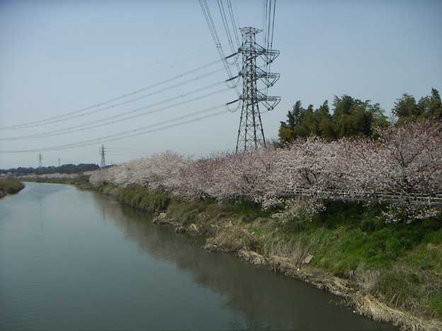 e0018604_1373975.jpg