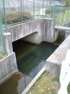 f0034007_21462070.jpg