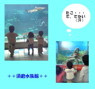 e0056008_10555354.jpg