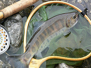 f0021008_20102118.jpg