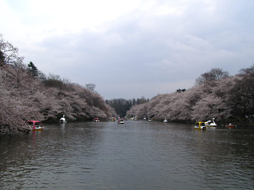 e0066210_23285211.jpg