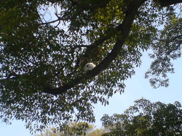 d0048818_1854317.jpg