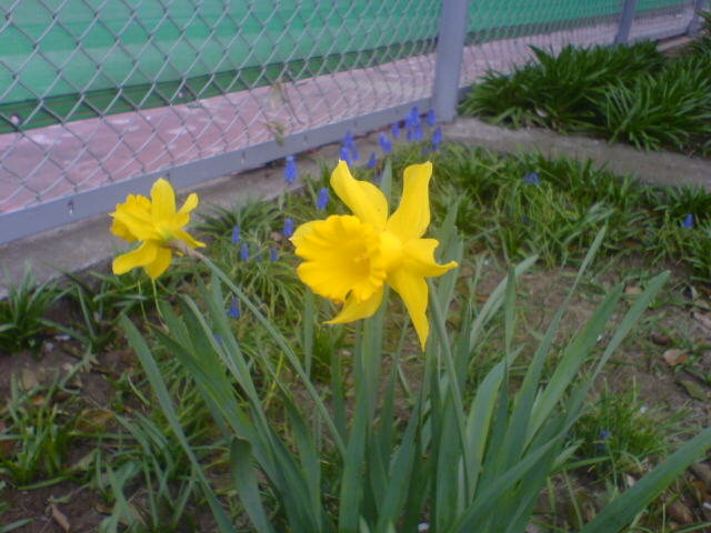d0048818_18544100.jpg