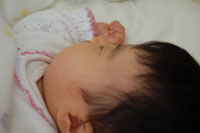 c0042319_13362576.jpg