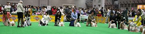 c0028424_2103057.jpg