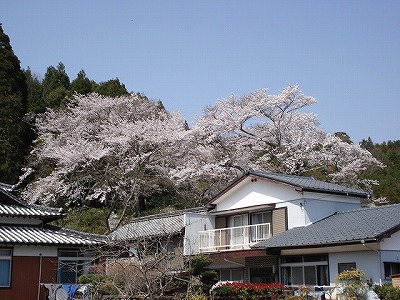 c0038334_23562339.jpg