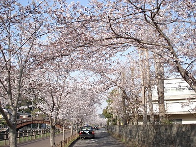 c0038334_235712.jpg