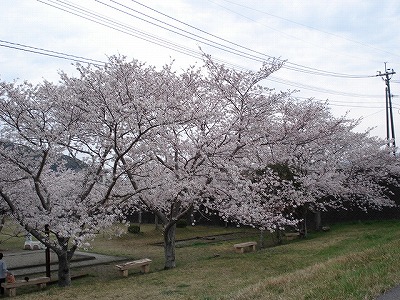 c0038334_23574632.jpg