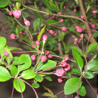 d0033734_18264211.jpg
