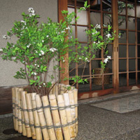 d0033734_18271952.jpg
