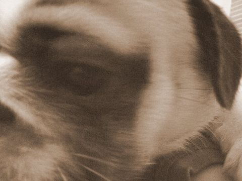 e0018143_17124271.jpg