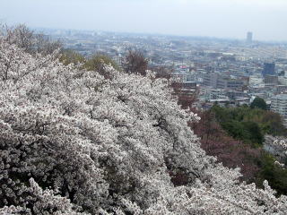 f0094843_23592184.jpg