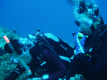 d0065247_184111100.jpg