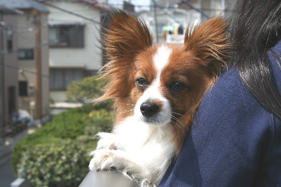 d0013149_0571140.jpg