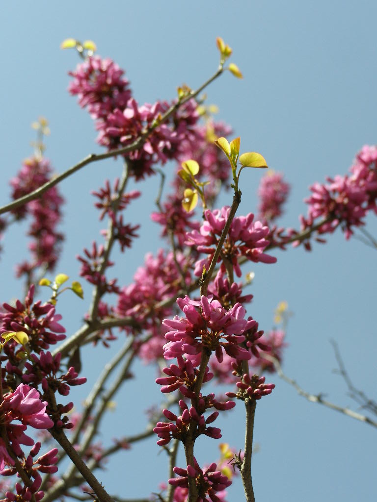 e0064158_111208.jpg